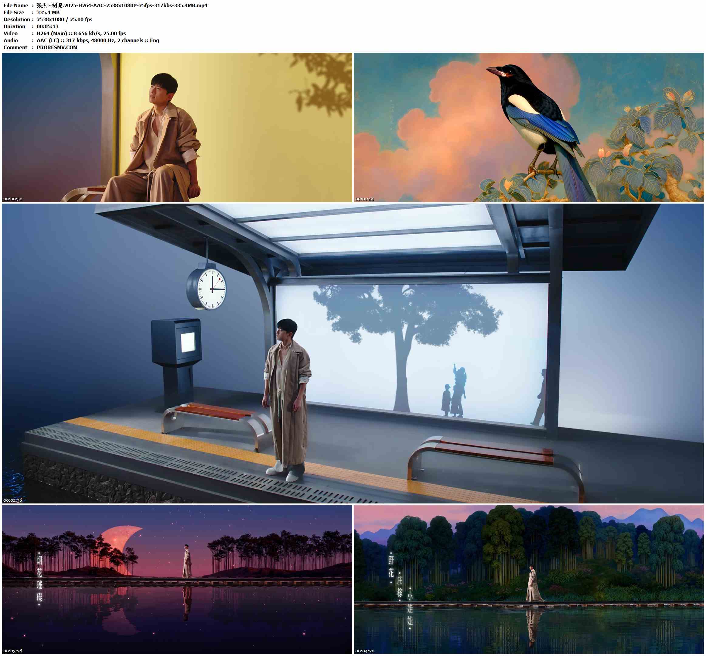 张杰 - 树呢.2025-H264-AAC-2538x1080P-25fps-317kbs-335.4MB官方MV_高清MV